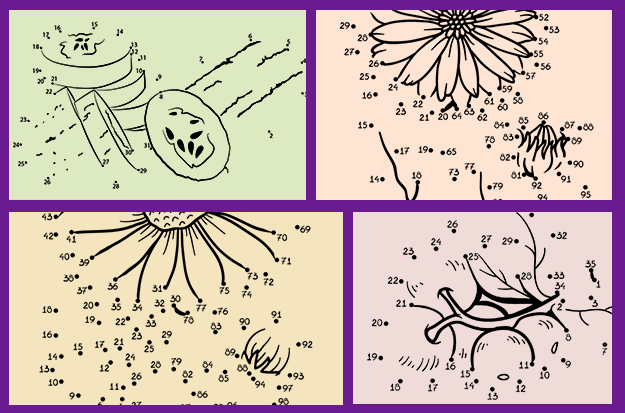 Puzzle Playtime! Connect the Dots & Unlock Surprises as We Countdown to Excitement!