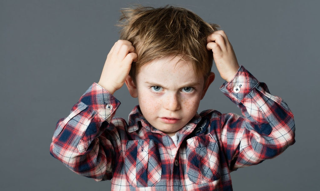 Best Head Lice Treatment for Kids Fairy Tales Hair Care