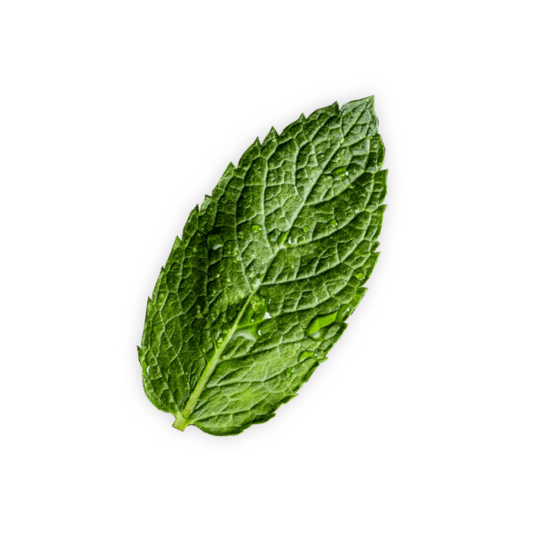 Peppermint