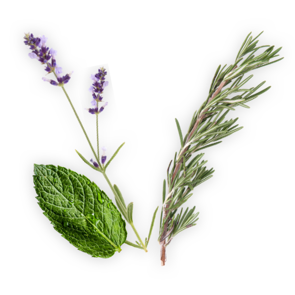 ingredients image