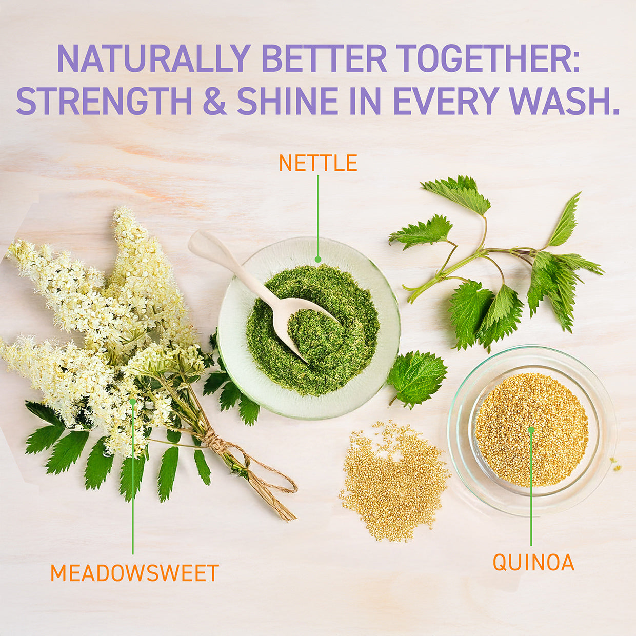 tbh® kids scalp refresh kit